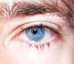 Profil de Marc-eric